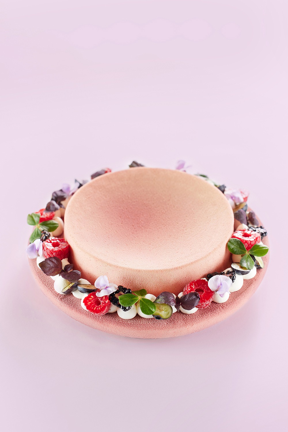 Entremets Façon Açaï Bowl - Les vergers Boiron